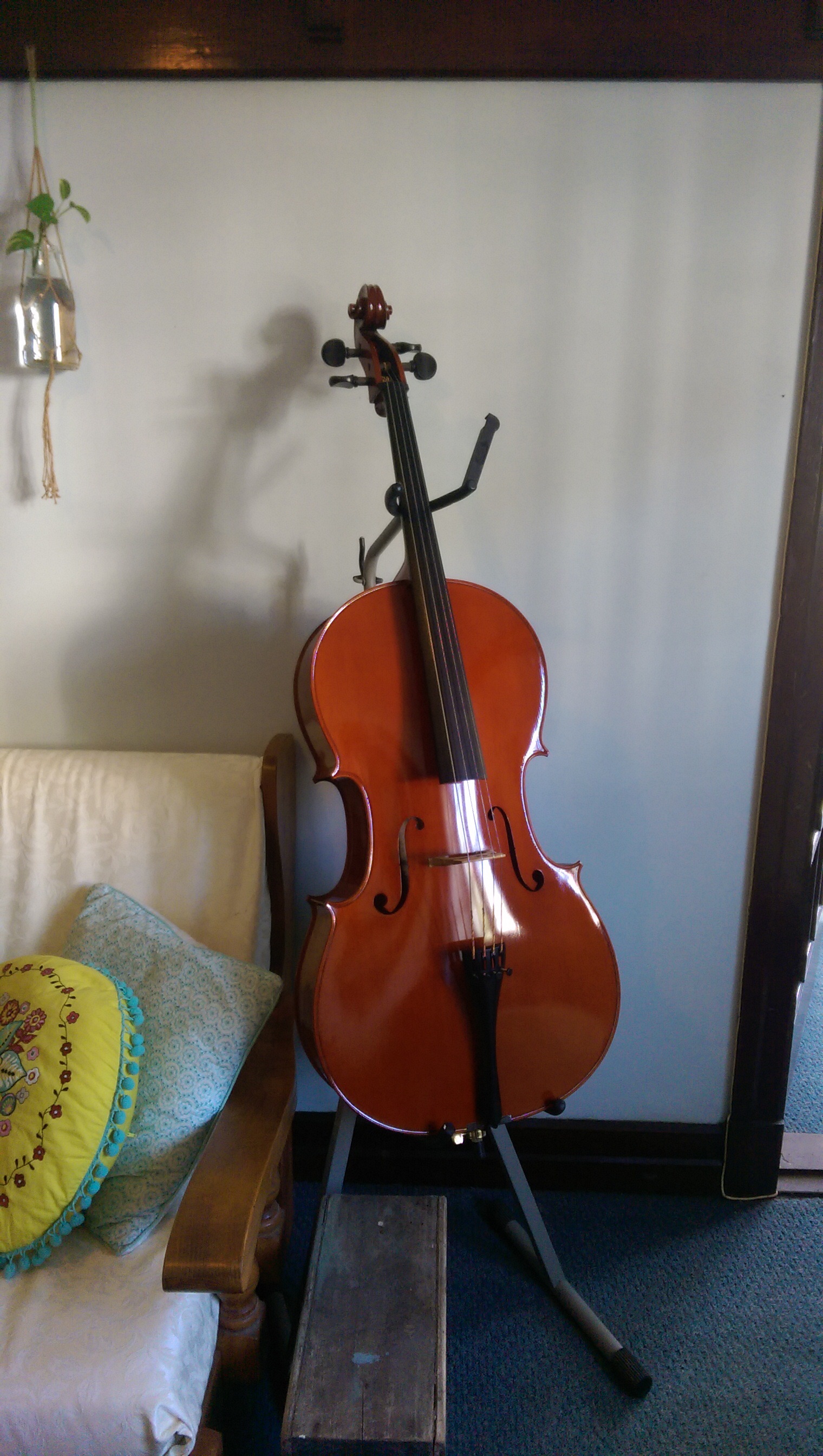 kg-100-intermediate-cello-7-8-size-austa