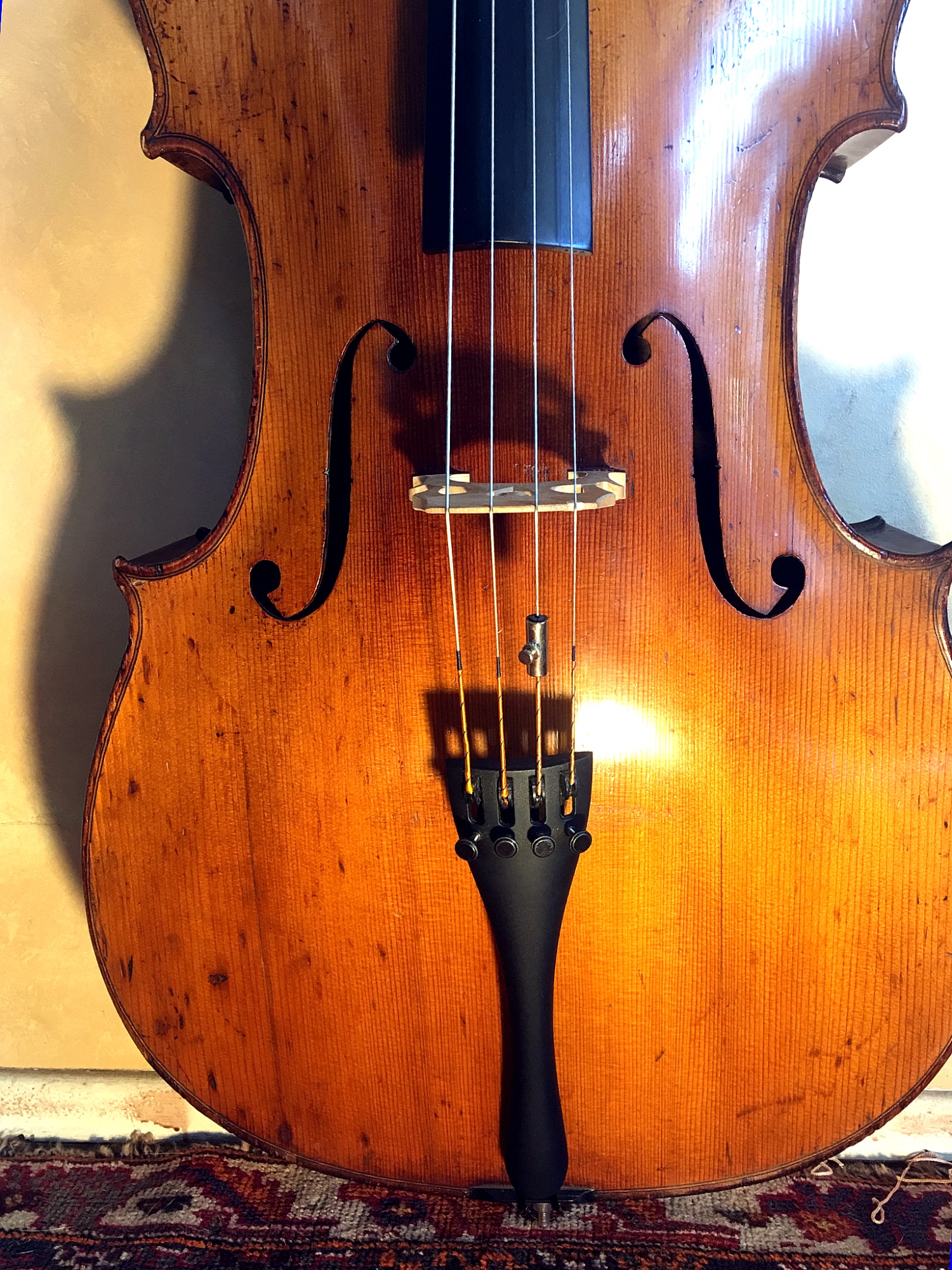 Cello AUSTA