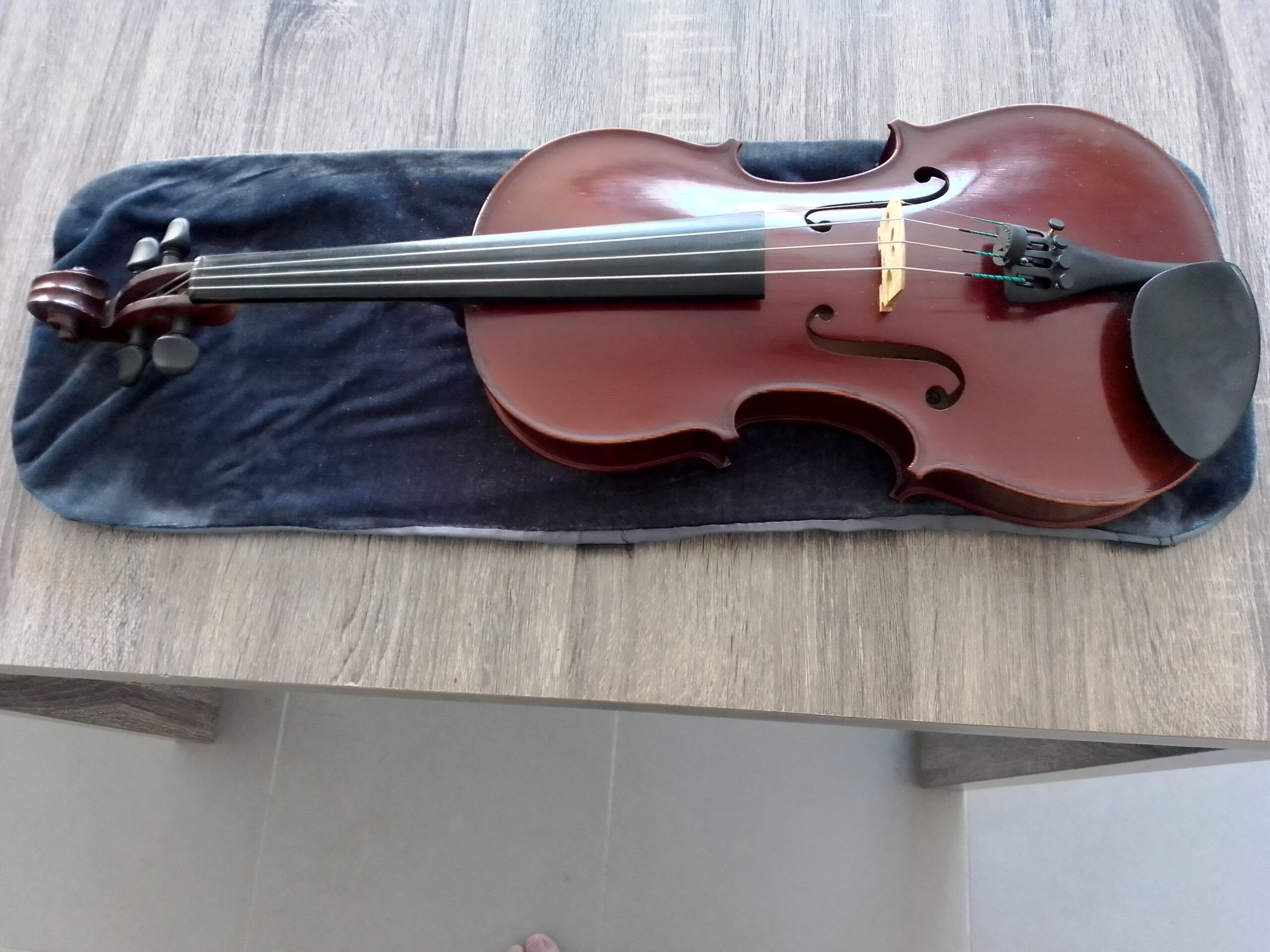 violin AUSTA
